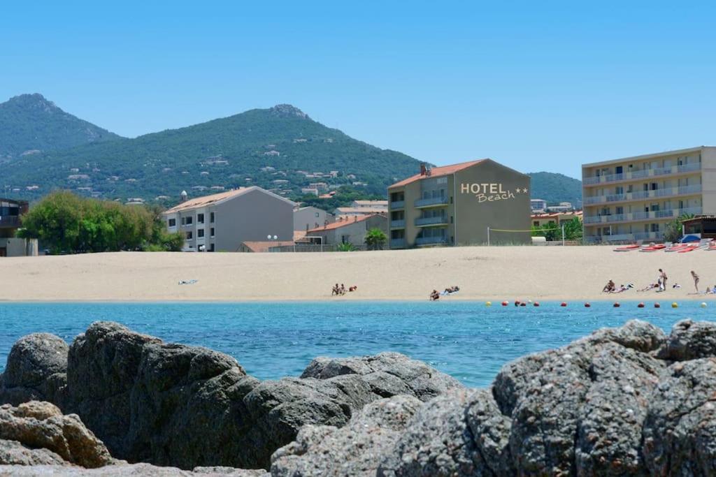 T2 D'Exception 100M Plage Terrasse Vue Mer Et Montagnes 普罗普里亚诺 外观 照片