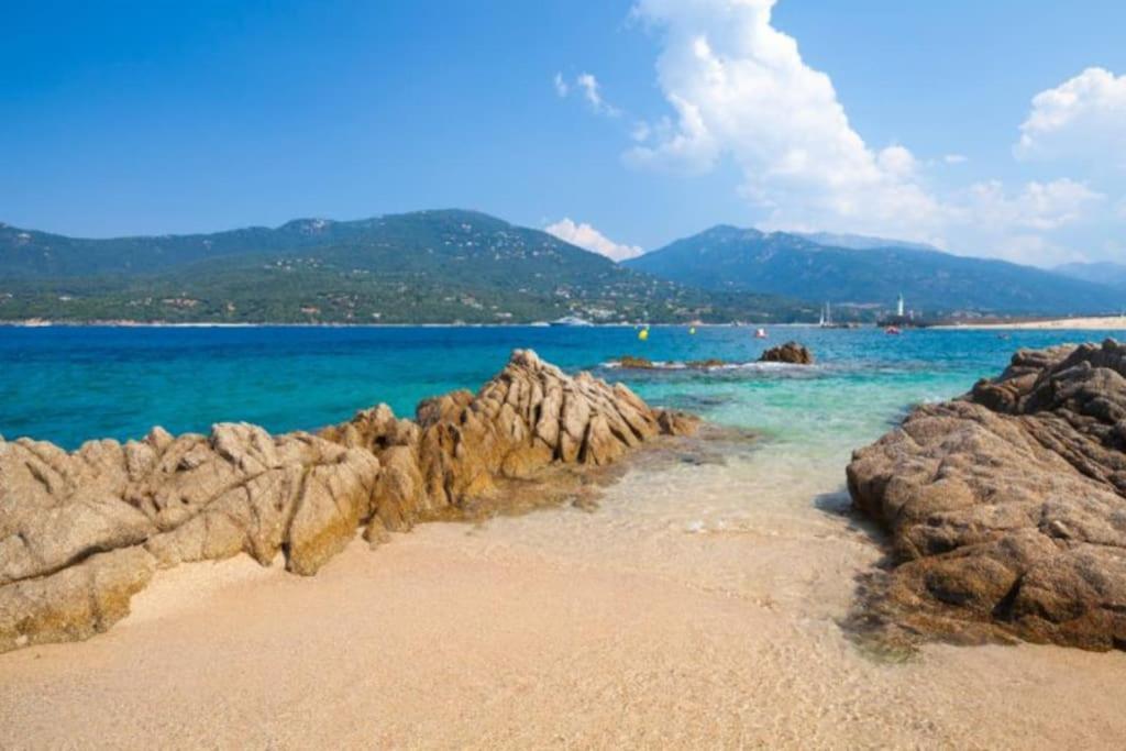 T2 D'Exception 100M Plage Terrasse Vue Mer Et Montagnes 普罗普里亚诺 外观 照片